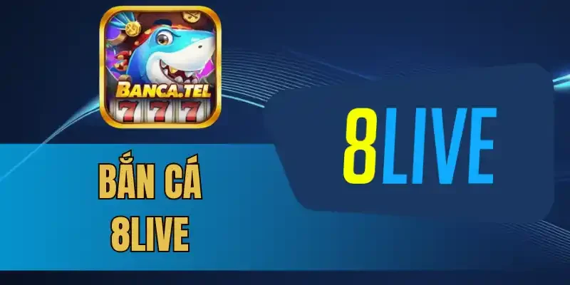 Lưu ý để săn được nhiều cá nhất 