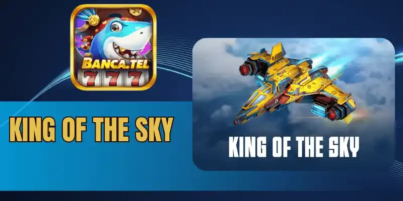 Tuyệt chiêu tấn công trong King Of The Sky