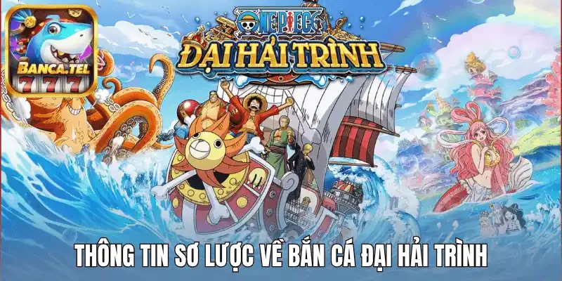 Thông tin sơ lược về bắn cá Đại Hải Trình