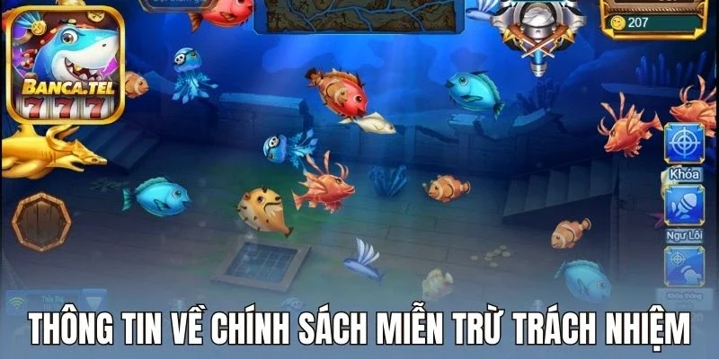 Thông tin về chính sách miễn trừ trách nhiệm